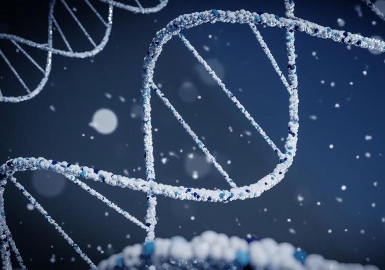 Apúntate a la newsletter de ABC Ciencia para no perderte nada del mundo científico