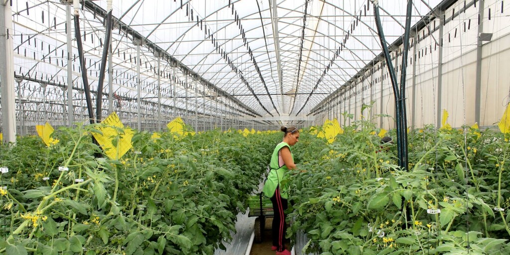 Abono Colaborativo Desde El Sur Para La Agricultura Espa Ola Del Siglo Xxi