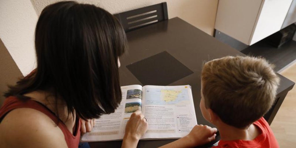 Una plataforma nacional pide blindar la ley educativa de Mazón para que