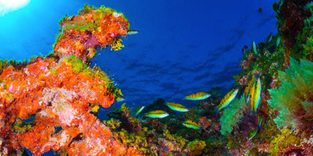 La Mar De Las Calmas En El Hierro El Primer Parque Nacional