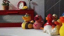 Varios patitos de goma en un baño