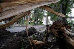 Destrozos en Aranjuez, provocados por la tormenta caída ayer tarde