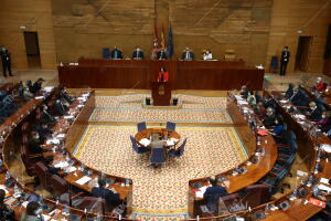 Pleno de la Asamblea de Madrid. Sesión de control al Gobierno