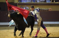 Importante tarde de Manzanares, a hombros