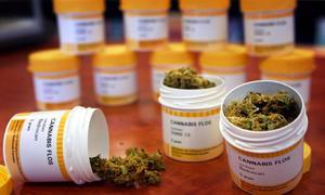 El cannabis podría ayudar a combatir el cáncer de próstata