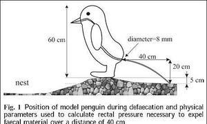 Los diez estudios científicos más absurdos de los últimos años