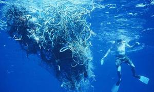 Una isla de basura dos veces más grande que Texas flota en el Pacífico