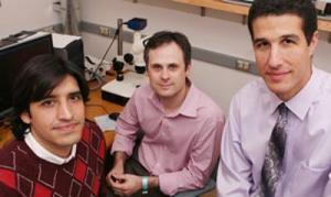 ¿Por qué seguimos comiendo cuando estamos llenos?