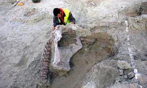 El parque temático de «Lo Hueco» está paralizado