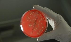 Las bacterias de las manos identifican a cada individuo