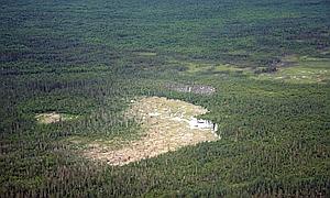 La mayor presa de castores del mundo, visible desde el espacio