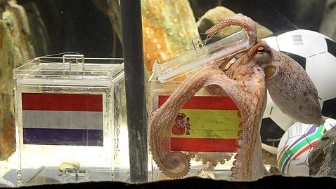 Paul volvió a clavarla