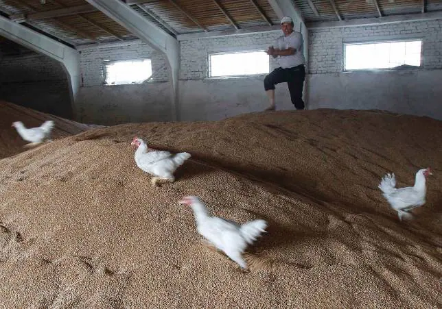 Ucrania se une a Rusia y agrava la crisis de los cereales
