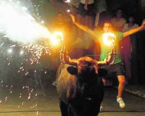 Locos por los «correbous»