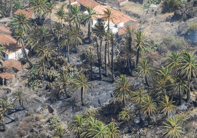 Controlado el incendio de La Gomera tras quemar 80 hectáreas
