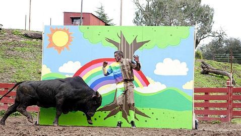 Somos una especie fallida