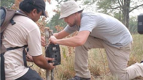 DiCaprio destina un millón de dólares a la conservación del tigre