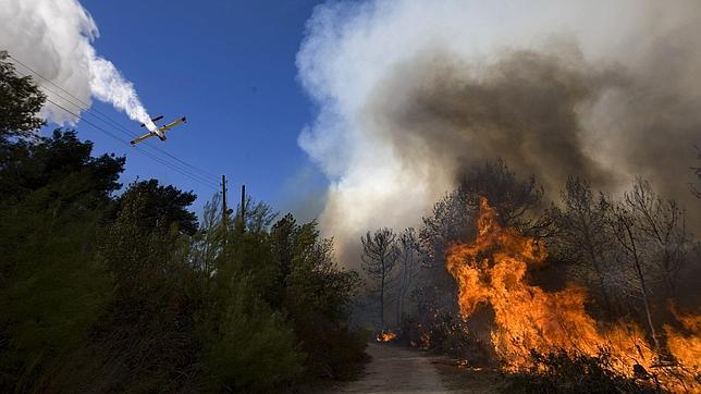 Netanyahu reconoce que Israel no puede sofocar el incendio sin ayuda exterior