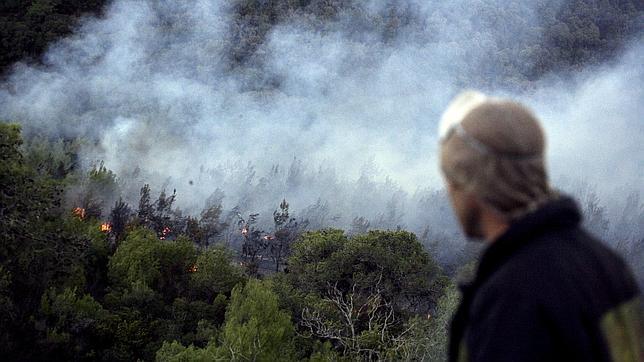 Un adolescente, responsable del peor incendio forestal de la historia deIsrael