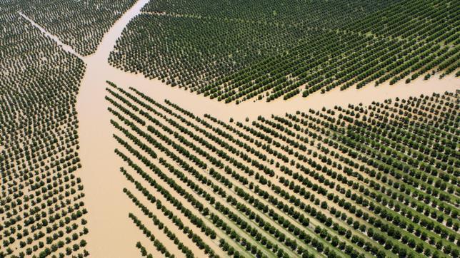 Las inundaciones se extienden a más zonas del noroeste de Australia