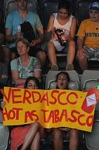 Verdasco completa el pleno español