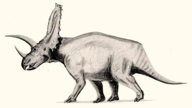 Descubren al «padre» de todos los Triceratops