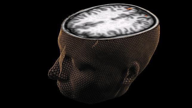 El cerebro humano está encogiendo: ¿hay un nuevo tipo de inteligencia?