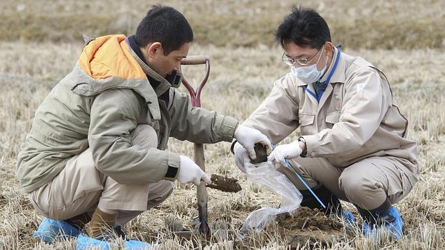 Japón anuncia que desmantelará Fukushima