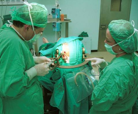 Unos 120 pacientes recibieron el año pasado un trasplante renal
