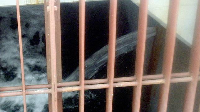 Fukushima verterá 11,5 millones de litros de agua radiactiva al océano Pacífico