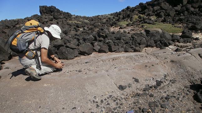 Un tsunami con olas de 50 metros arrasó Tenerife hace 150.000 años