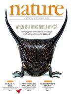 Un tercer par de alas en el cogote