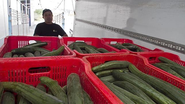 Austria retira de la venta pepinos, tomates y berenjenas de España