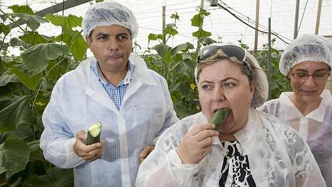 La «crisis del pepino» cuesta a España 200 millones de euros a la semana