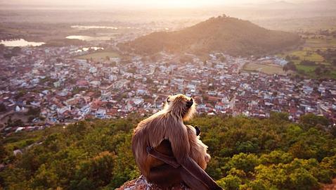 Fragmentos de la naturaleza