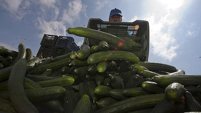 Ya son 17 las víctimas mortales del E.coli en Alemania