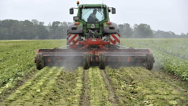 Rusia prohíbe todas las importaciones de hortalizas de la Unión Europea