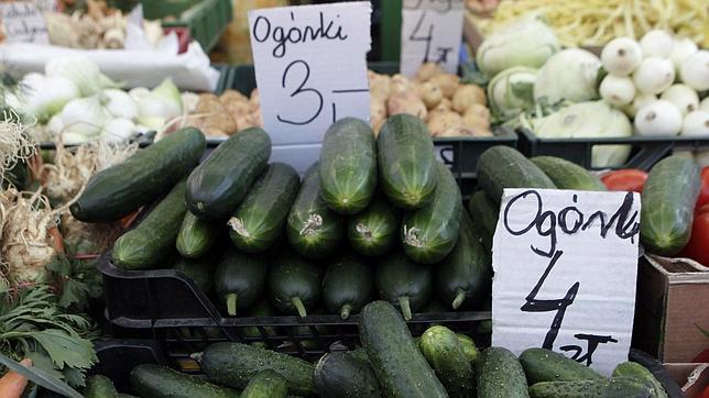 Una empresa malagueña demanda a Hamburgo por la crisis de los pepinos