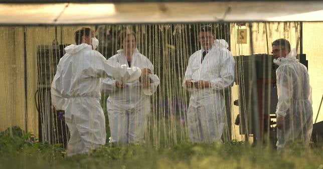 Alemania ya no duda: la soja es la culpable del brote de E. coli