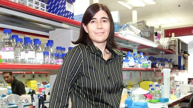 María Blasco sustitye a Barbacid como directora del Centro de Investigación del Cáncer