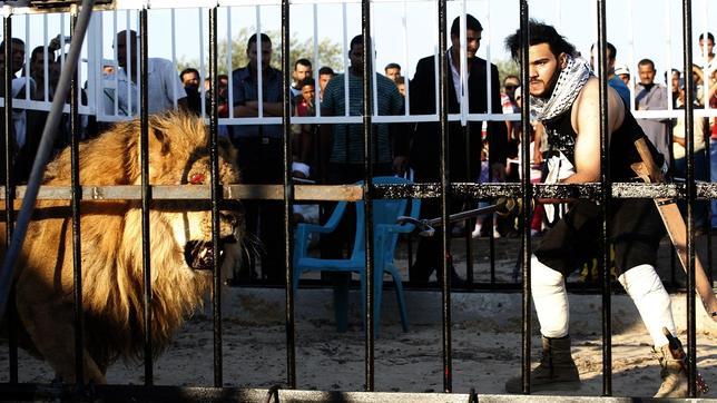 El «hombre más fuerte del mundo» se enfrenta a un león en Egipto