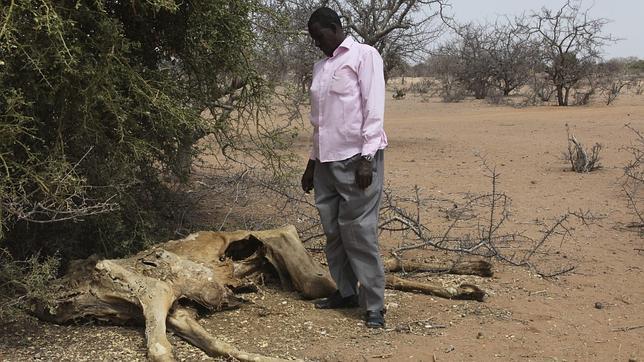 La guerra y la sequía provocan «una tragedia humana inimaginable» en el cuerno de África