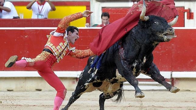 Joselillo, adoptado por las peñas