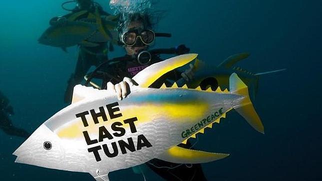 La CE pide una drástica reforma de la pesca para proteger los recursos