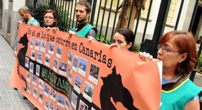 Los ecologistas, en campaña contra la desmemoria socialista