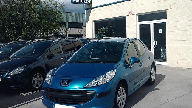 La ley de distribución perjudicará a sector y consumidores