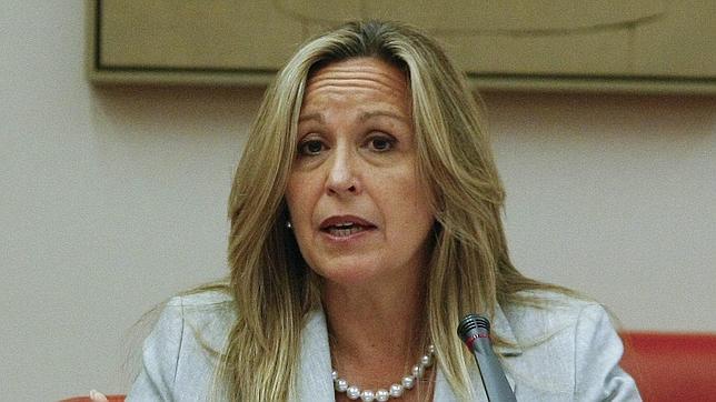 Jiménez considera «legítimo» que Palestina pida su reconocimiento como Estado