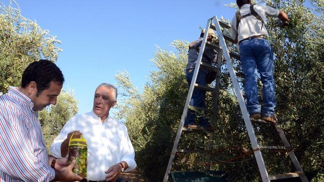 Arenas pide un grupo de trabajo que aclare el estado financiero de la Junta
