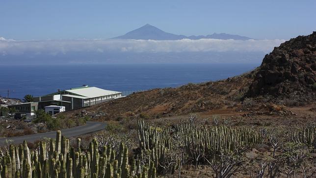 La Gomera o La Granja de San Ildefonso, entre las propuestas españolas a Reserva de la Biosfera