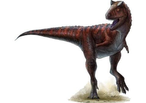 Carnotauro, el depredador veloz